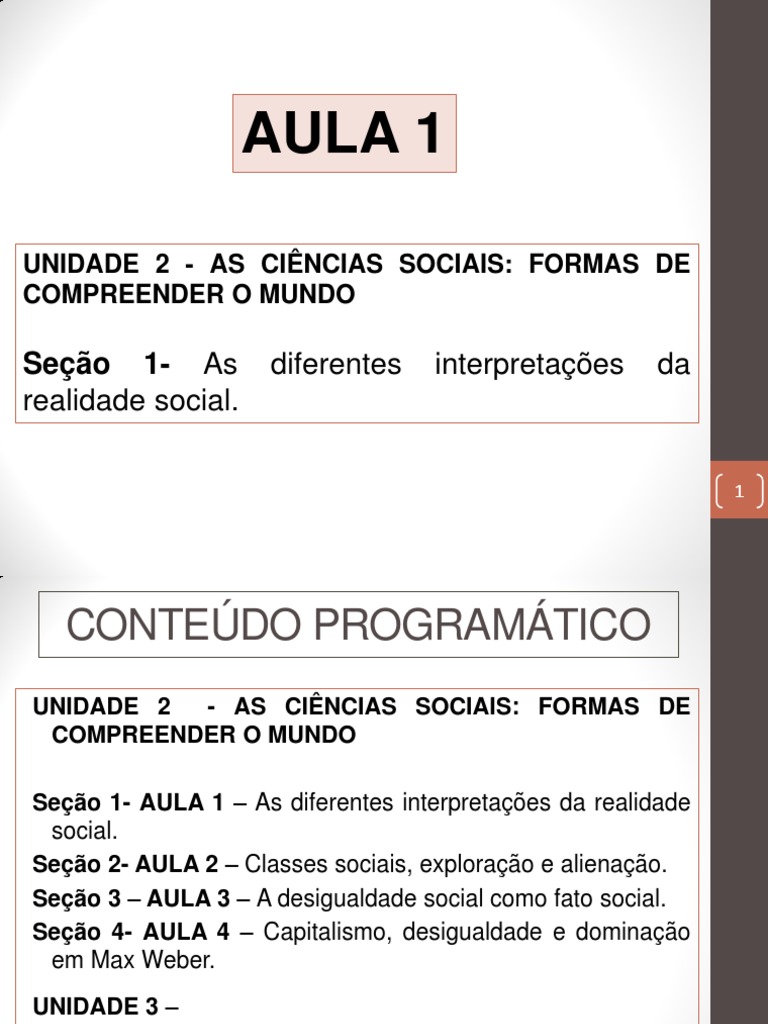 Interpretações da Realidade Social | PDF | Sociologia | Humano