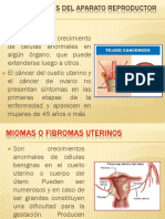 Enfermedades Del Aparato Reproductor Femenino y Masculino