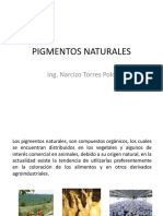 1 - PIGMENTOS NATURALES