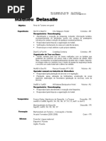 Cv Em Portugues Mathieu Delasalle 2014