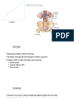 Trauma Urogenital