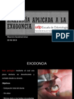 Anatomia Aplicada A La Exodoncia y Tercer Molar