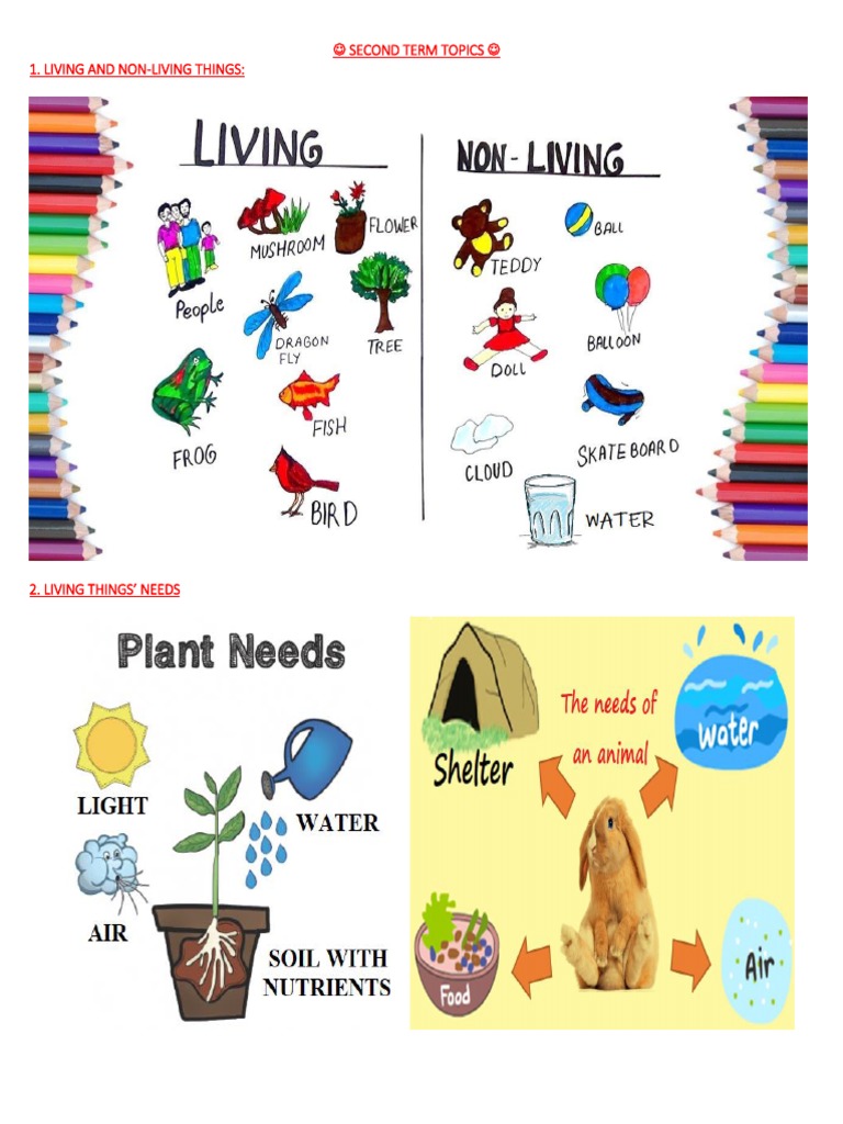 Second Term Science Topics | PDF | Foreign Language Studies | Science ...
