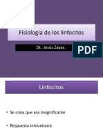 21189888 Fisiologia de Los Linfocitos