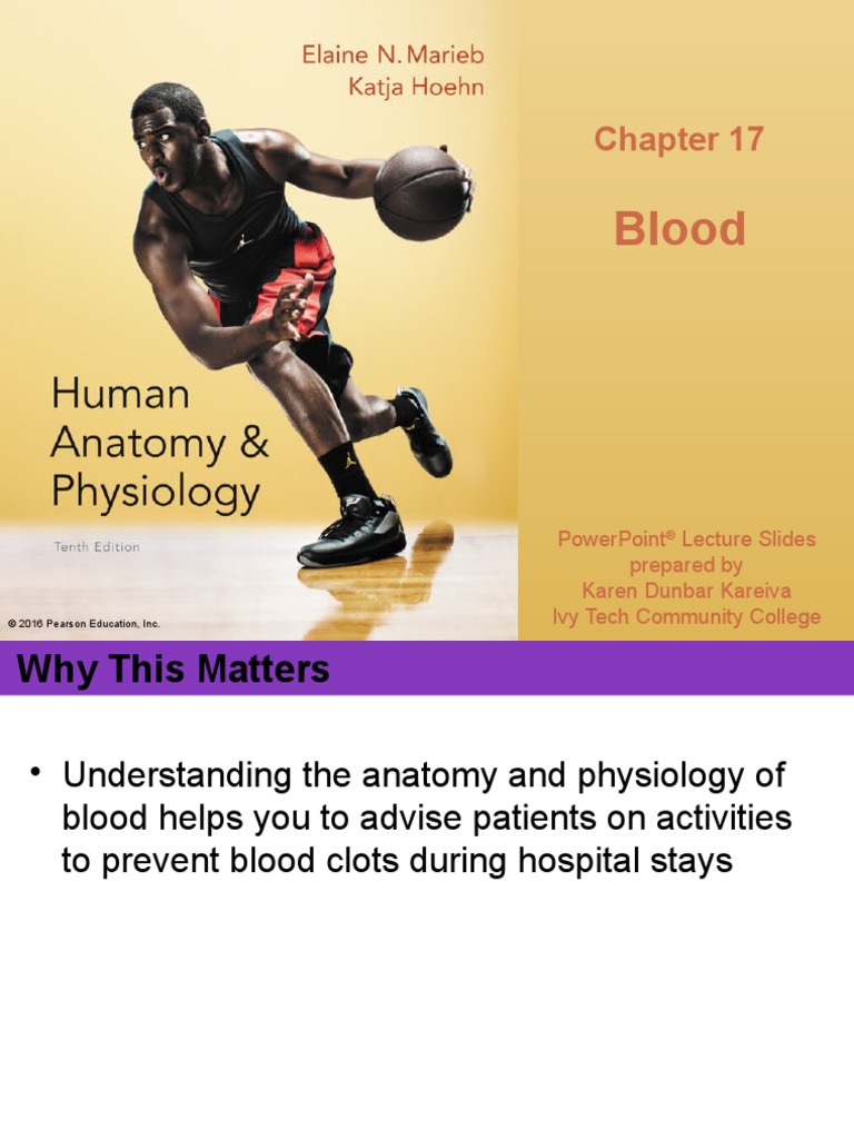 Anatomy And Physiology Ch 17 Marieb And Hoehn Lecture Ppt Red Blood Cell