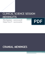 CSS - Meningitis