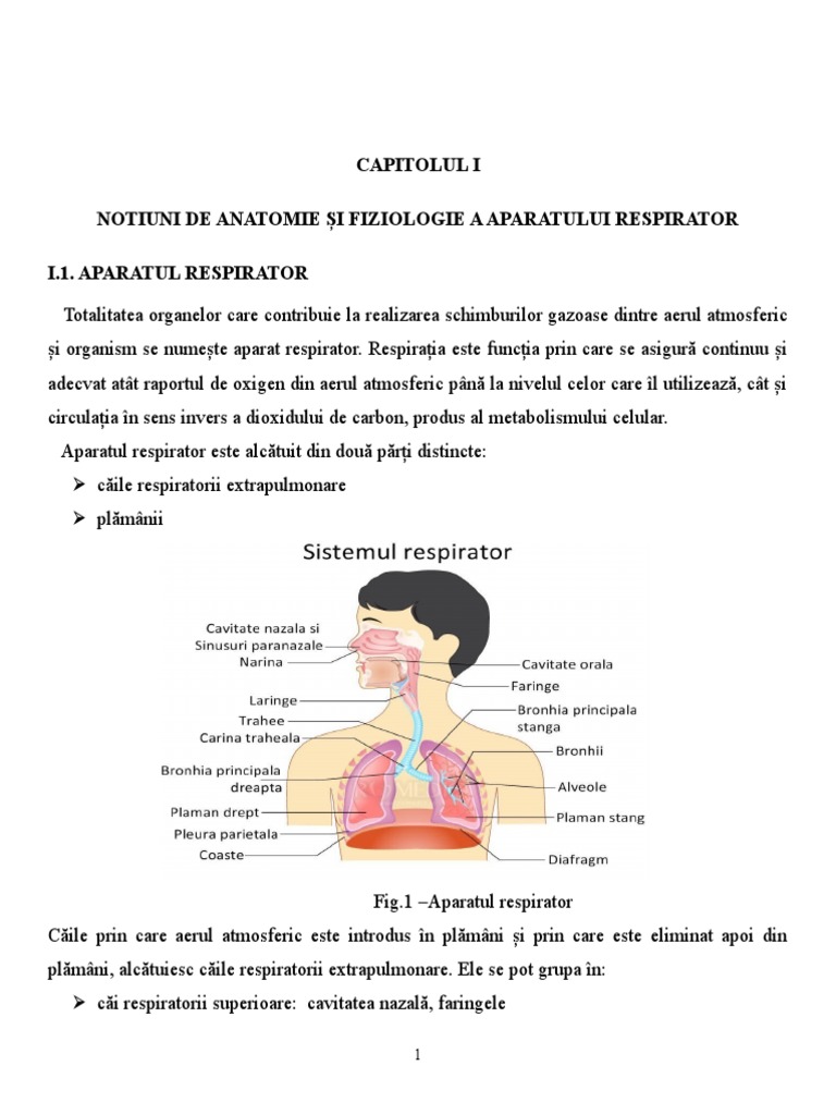 reparația țesuturilor cartilaginoase