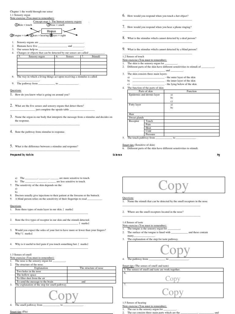 Form 2 Science Chapter 1 Notes | PDF | Senses | Stimulus (Physiology)