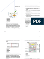 Semana 1 Ciclo 2017-2018 Pre Unmsm