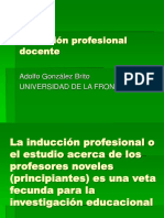 Induccion Profesional Docente