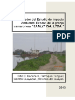 BORRADOR-EIA-SAMLIT-CIA-LTDA.pdf