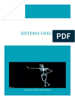 El Sistema Óseo Es Una Complicada y Perfecta Estructura Que Está Formada Básicamente Por 206 Huesos