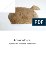 Aquaculture: A Green and Profitable Investment