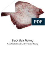 Black Sea Turbot Fishing - Start Up