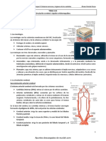 Circulacion Cerebral