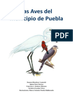 LasAvesDelMunicipioDePuebla PDF