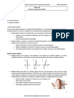 Funciones Motoras Del Encefalo