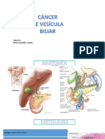 Ca Vesicula PDF