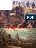 Sturmtruppen - Tropas de Assalto