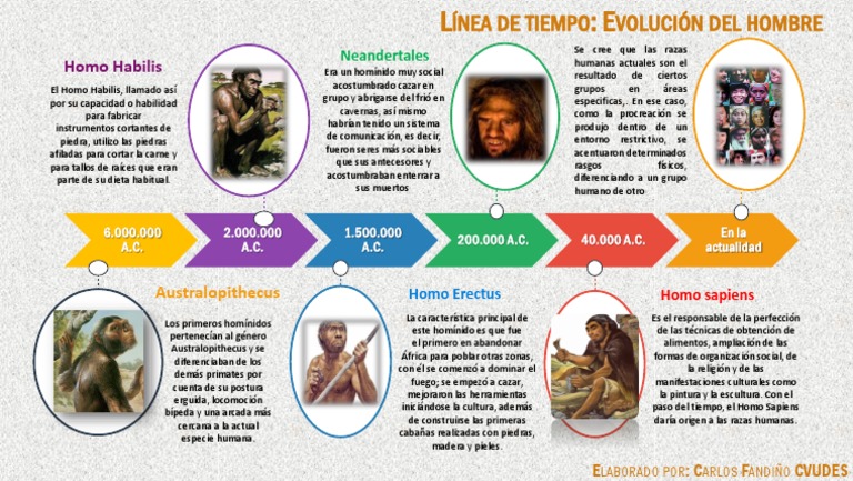 Cronología De La Evolución Humana Y El Futuro Línea Del Tiempo