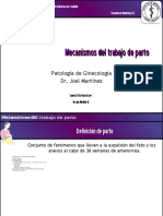 Mecanismosdeltrabajodeparto 090419000827 Phpapp01 (1)