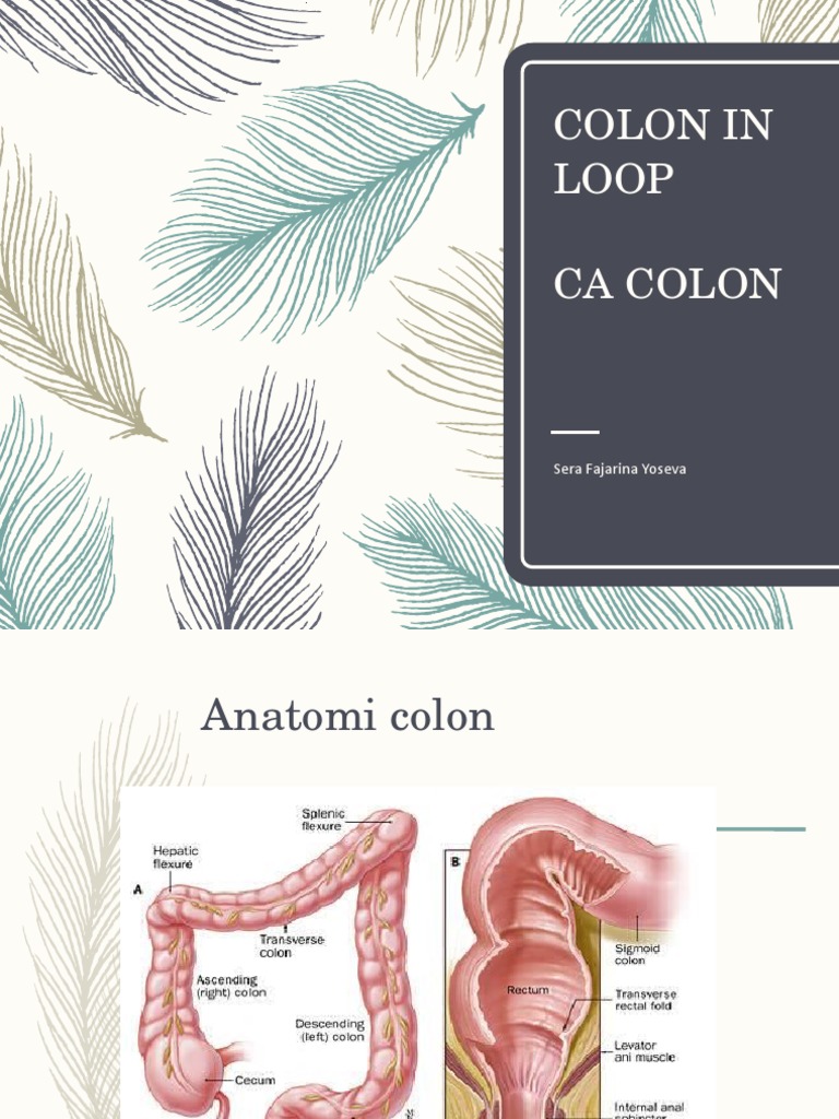Colon in Loop | PDF | Sains & Matematika