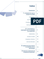 Documento Informativo PAES 2010