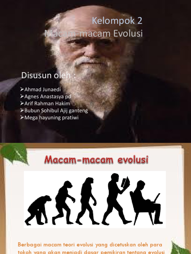Macam Macam Evolusi