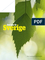 Det Haer Aer Sverige PDF