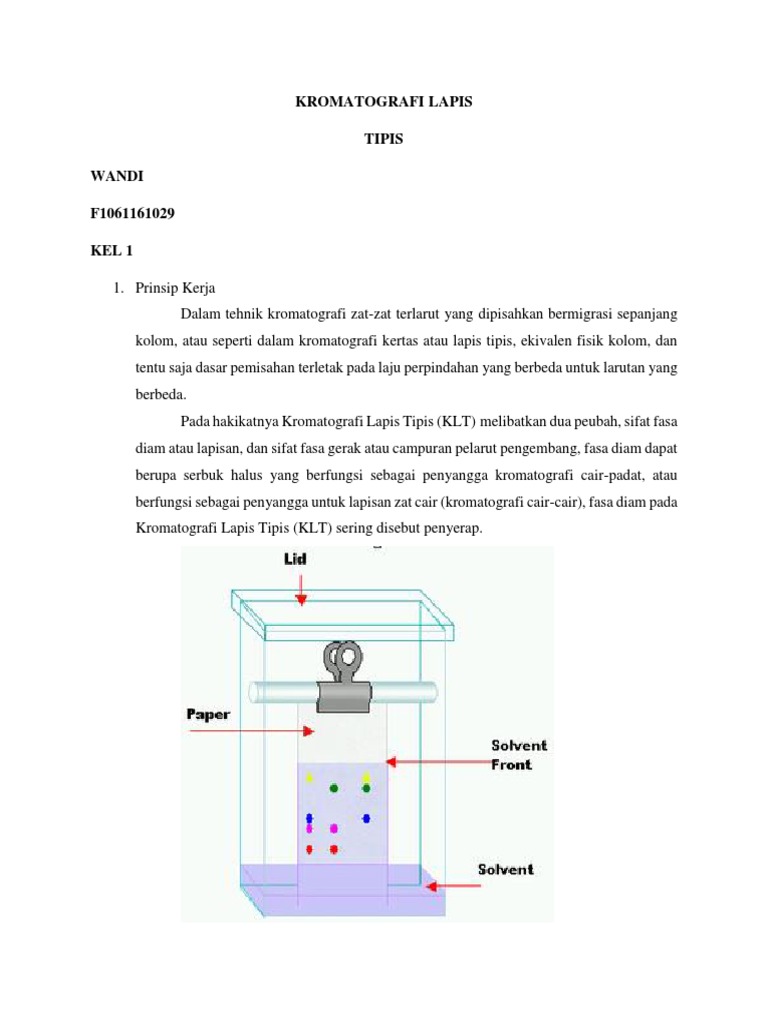 Kromatografi Lapis Tipis | PDF