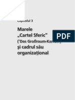 Marele Cartel Sferic" Şi Cadrul Său Organizaţional: ( Das Großraum-Kartell')
