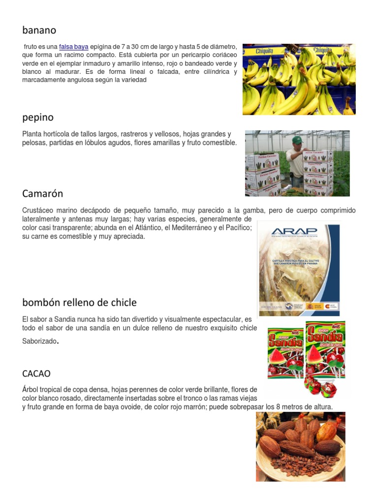 20 Productos de Honduras | PDF | Carne | Tomate