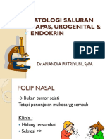 Topik 7 Patologi Sal Nafas, Urogenital, Endokrin