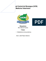 Metabolismo de Las Proteínas.