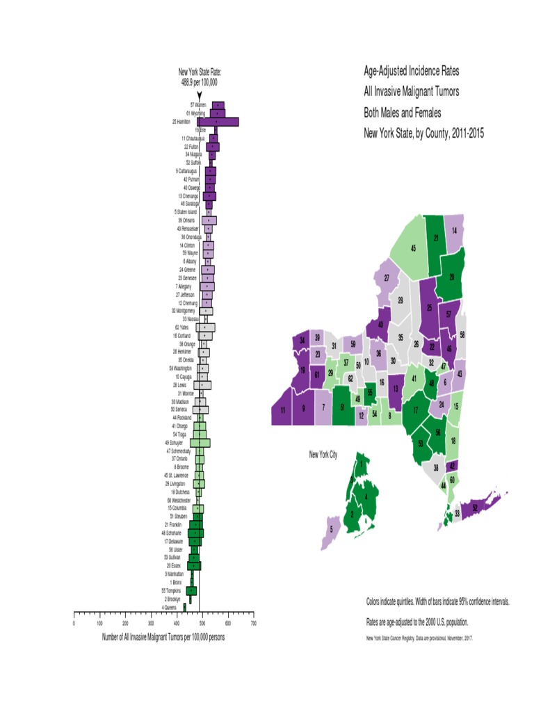 New York Cancer Incidence Rates 2011-2015 | PDF | The Bronx | Chess
