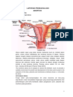 Laporan Pendahuluan Abortus