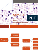 Ayudantía Sangre