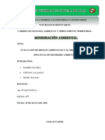 Remediacion Ambiental