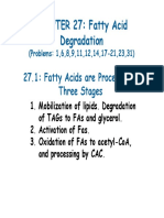 CHAPTER 27: Fatty Acid Degradation: 27.1: Fatty Acids Are Processed in Three Stages