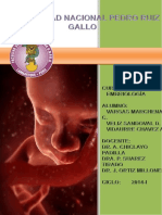 Informe P 2embriones