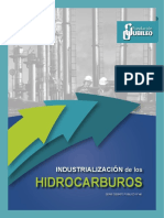 Industrializacion_hidrocarburos.pdf
