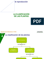 Clasificaion de Las Plantas