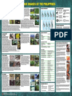 162_philippine snake poster04-15-04.pdf