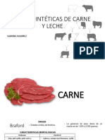 Razas Sintéticas de Carne y Leche