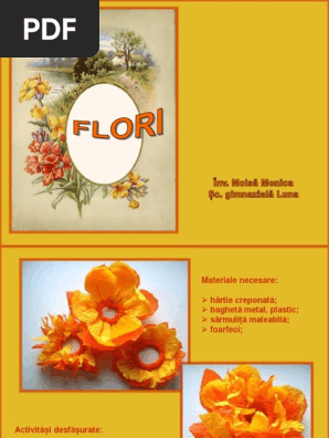 0 0 Floare