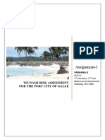 Assignment-Tsunami Risk Assessment - Farhana