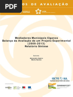 Mediadores Municipais Ciganos. Balanço Da Avaliação de Um Projeto Experimental (2009-2013)Mediadores Municipais Cigano - Relatório Síntese_0