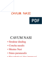 Cavum Nasi