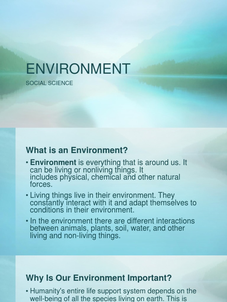 Environment | PDF | Ecosystem | Natural Environment