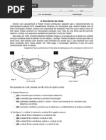 tv5_fichaavaliacao_6b
